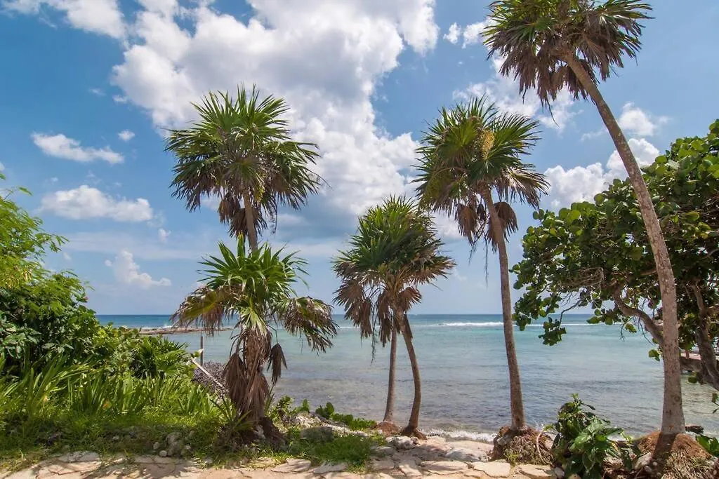 Ground Level Garden Condo At Akumal South By Tao Santamar 0*,